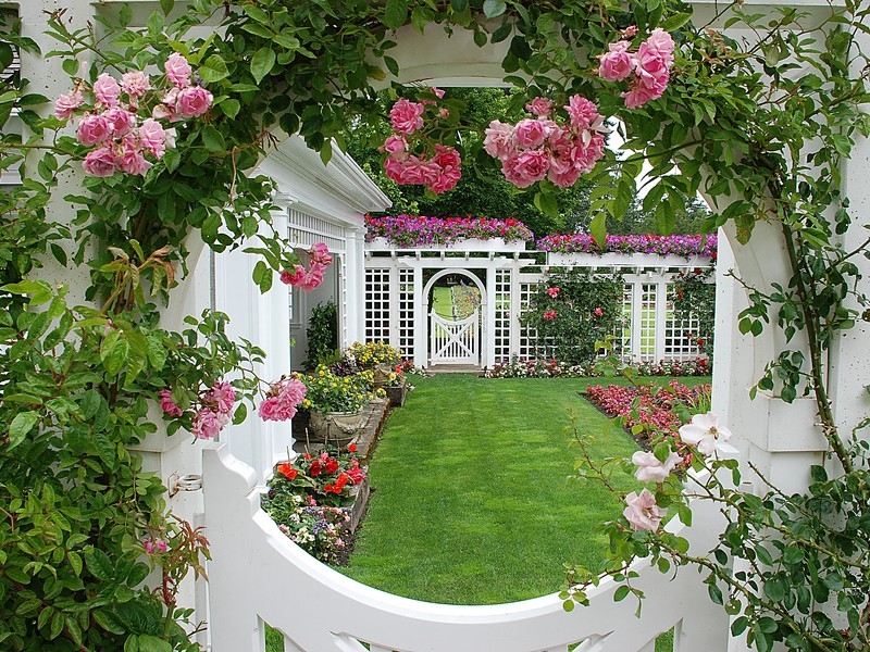http://greenblognetwork.files.wordpress.com/2010/05/butchart-gardens-rose-window.jpg